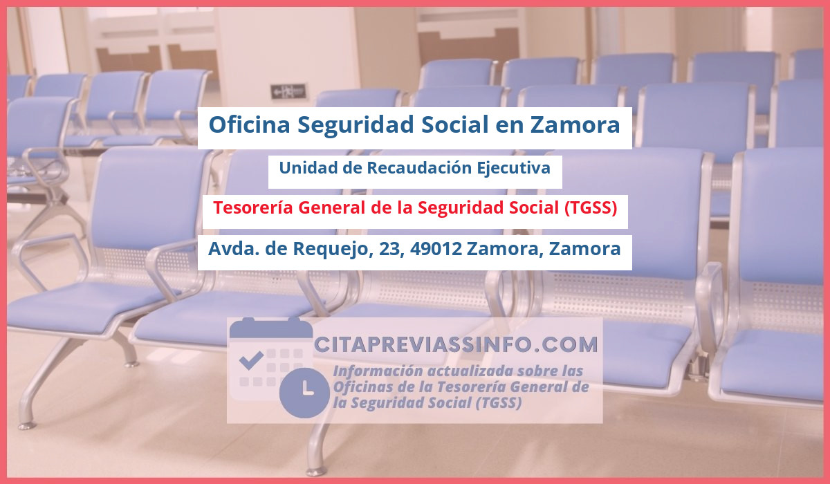 Oficina de la Seguridad Social: Unidad de Recaudación Ejecutiva de la Tesorería General de la Seguridad Social (TGSS) en Avda. de Requejo, 23, 49012 Zamora, Zamora